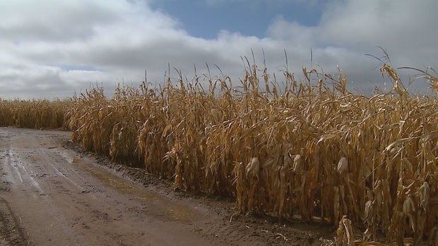 FARM INDUSTRY 10.transfer_frame_310 