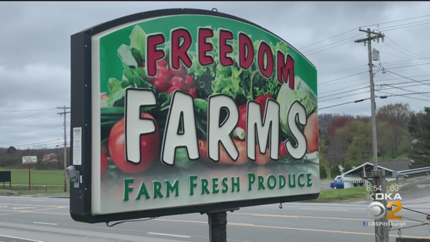 freedom farms 