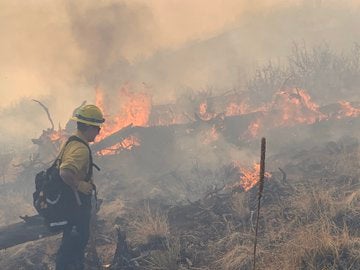 560 fire (evergreen) 