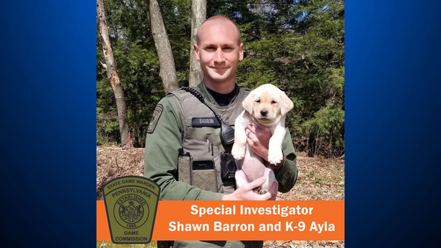 k-9-ayla.png 
