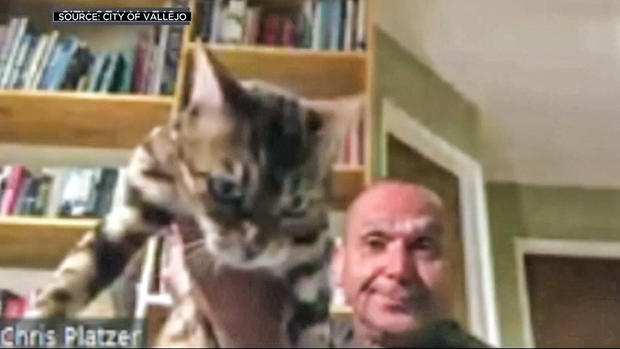 Vallejo planning commissioner Chris Platzer resigned after tossing his cat 