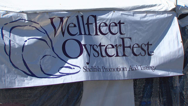 wellfleet-oysterfest.jpg 