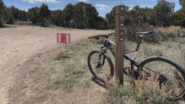 ONE WAY TRAILS 5VO.transfer_frame_60