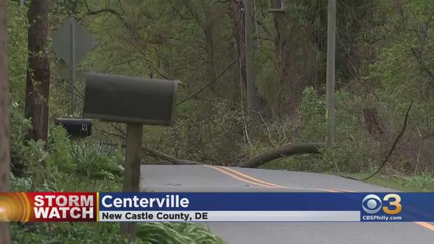 centerville-tree-down.jpg 