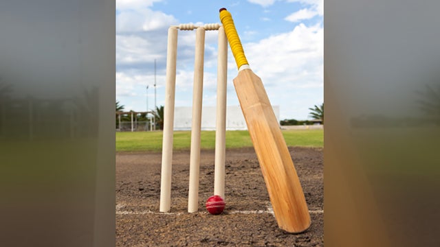 cricket-implements.jpg 