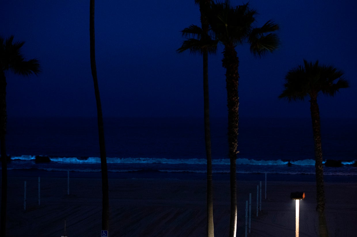 Bioluminescent Waves Light Up Southern California Coasts CBS Los Angeles