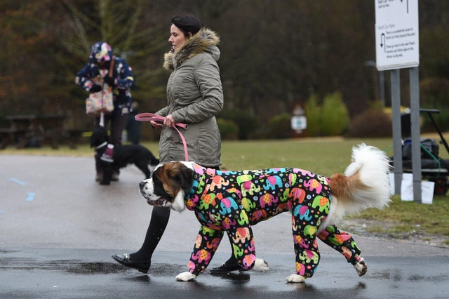 BRITAIN-ANIMAL-DOG-CRUFTS 