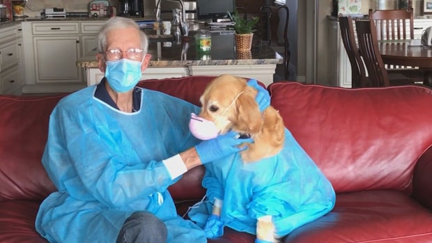 THERAPY DOGS 5PKG.transfer_frame_1528 