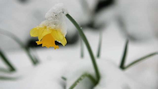 Heavy Snow Fall Sweeps Across The UK 