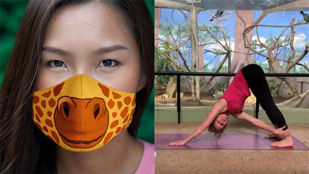 cincinnati-zoo-face-masks-san-antonio-zoo-zen-zoo-yoga.jpg 