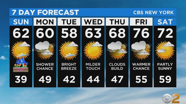 Forecast-1.jpg 