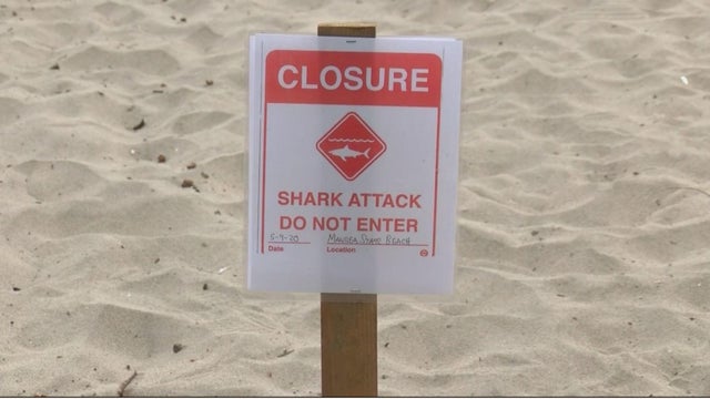 shark-attack-santa-cruz-california.jpg 