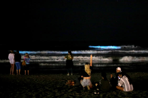 Bioluminescent Waves At Newport Beach 