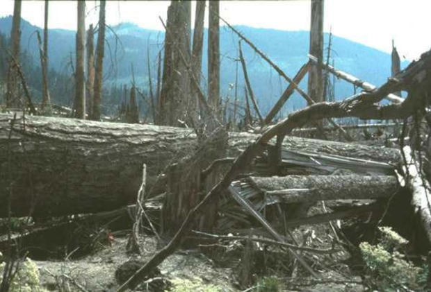 mount-st-helens-us-forest-service-1983.jpg 