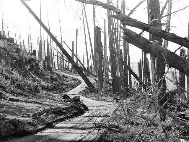 Mount St Helens 1982 