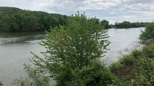 ohio-river-man.jpg 