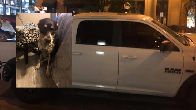 Stolen-Truck-Pup-2-truck-from-Sam-Bruce-FB-1.jpg 