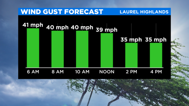 Wind Gust Forecast 
