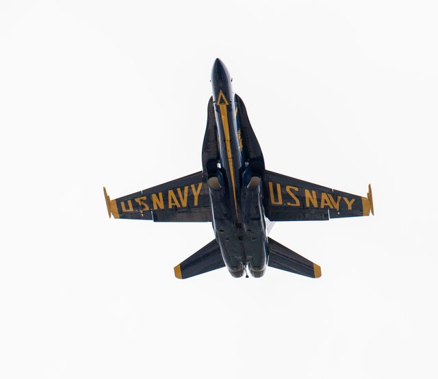 49916605383_40a71b8752_o 