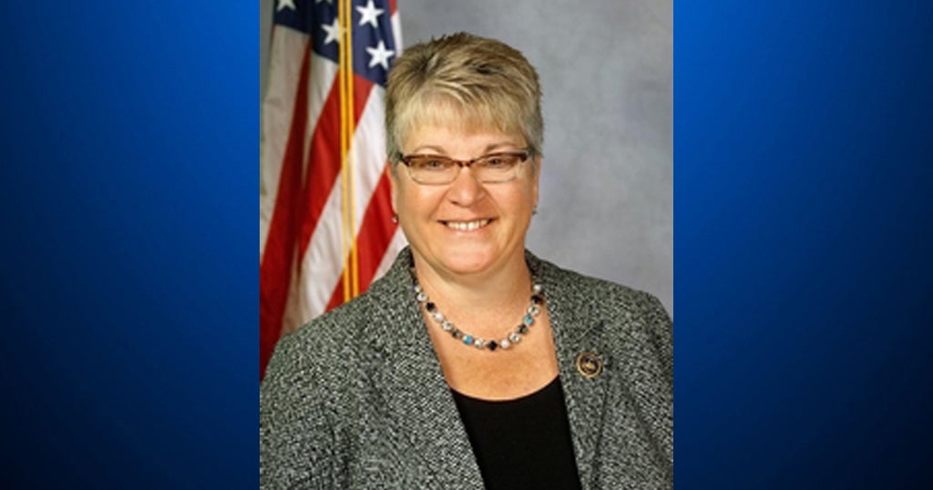 State Rep. Pam Snyder To Retire At End Of Current Term CBS Pittsburgh