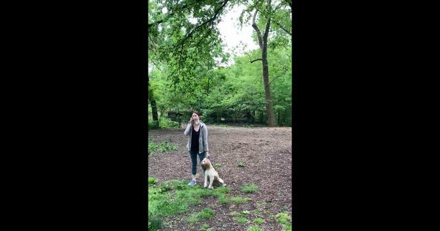 White woman calls police after black man asks her to leash dog - CBS News