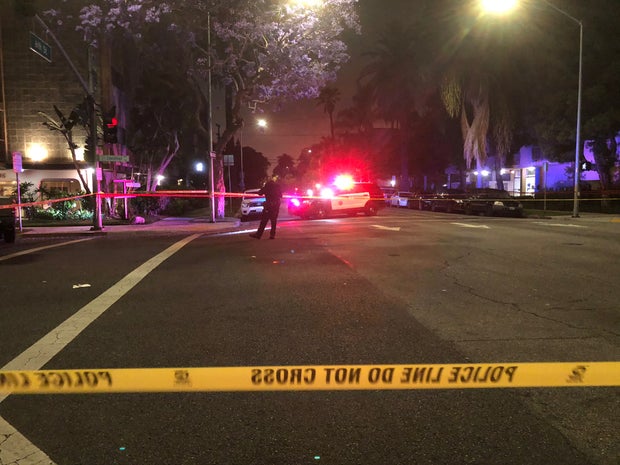 Innocent Pedestrian, Dog Struck And Killed By Pursuit Suspect During Long Beach Chase