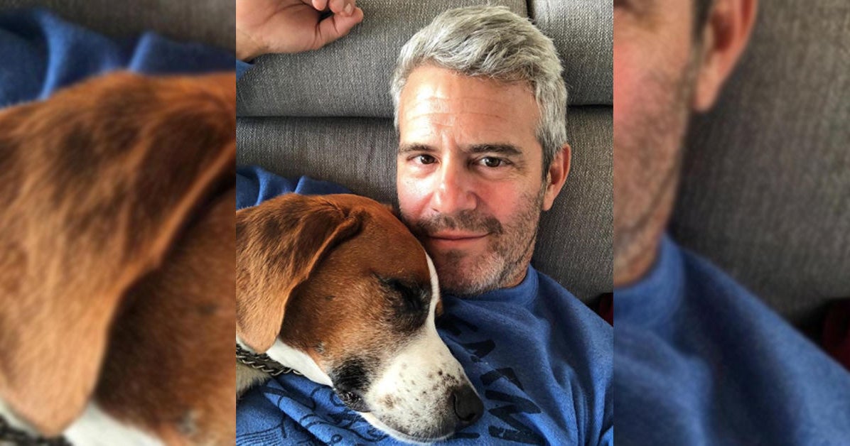 Andy Cohen reveals he gave his rescue dog Wacha away, because keeping