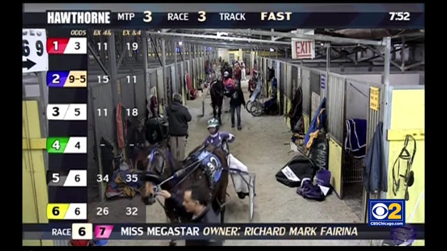 HarnessRacing.jpg 