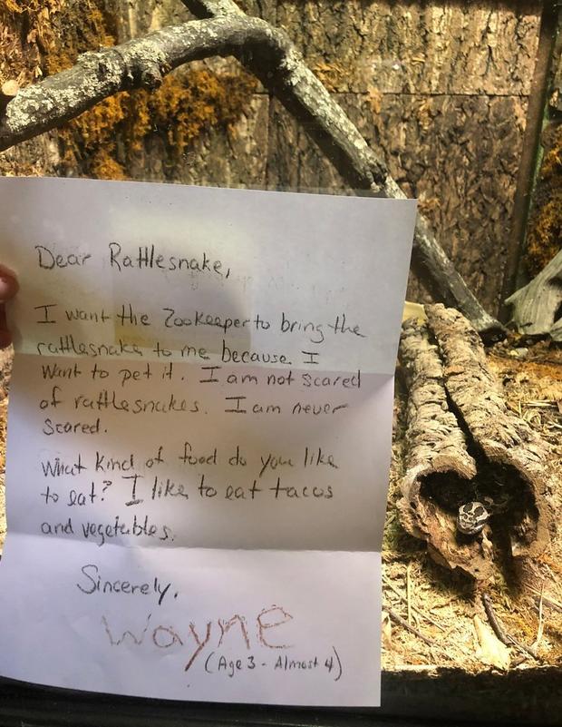 Boy writes letter to rattlesnake at Michigan zoo 