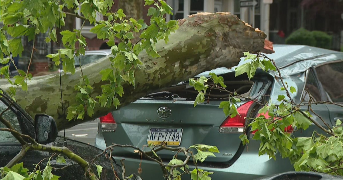Severe Storms Knock Down Trees, Leave Hundreds Of Thousands Of ...