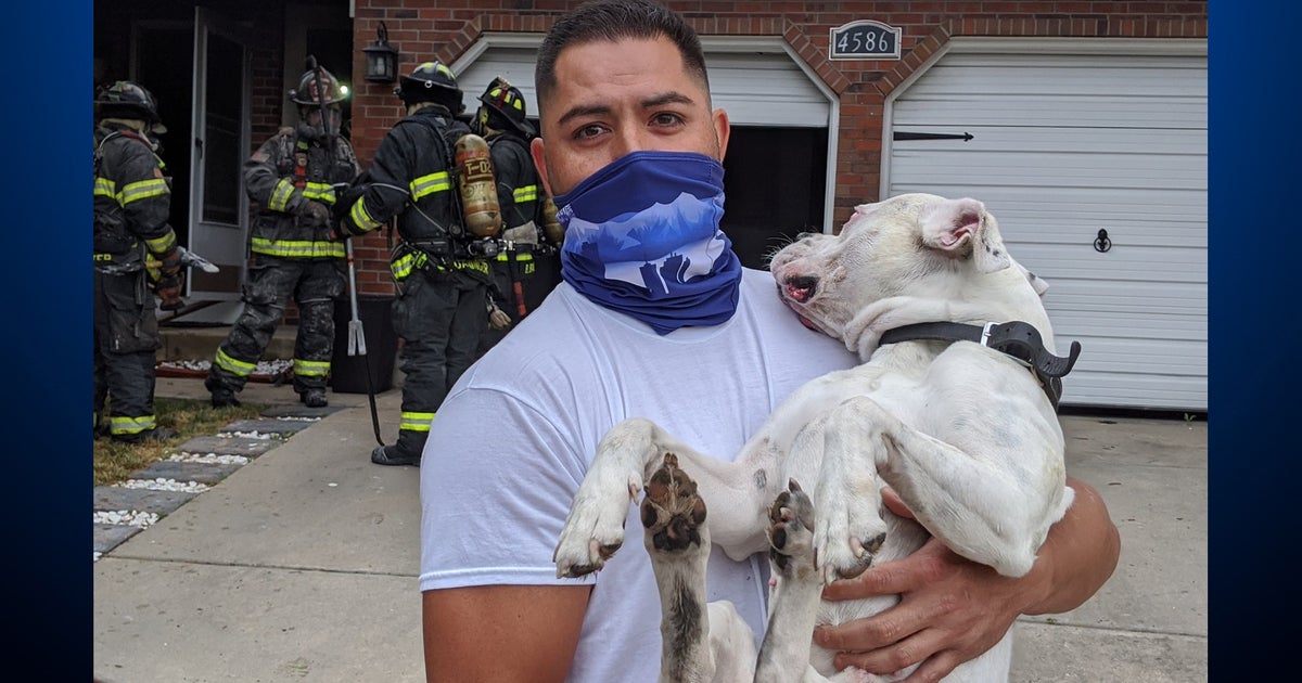 Dog Saved From House Fire In Denver - CBS Colorado