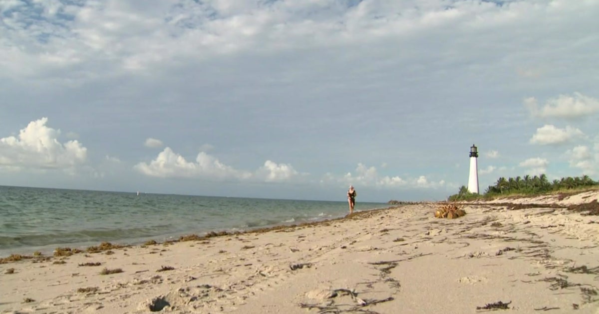 Miami Beach police: Head found on Key Biscayne belonged to missing swimmer Miami Beach police: Head found on Key Biscayne belonged to missing swimmer