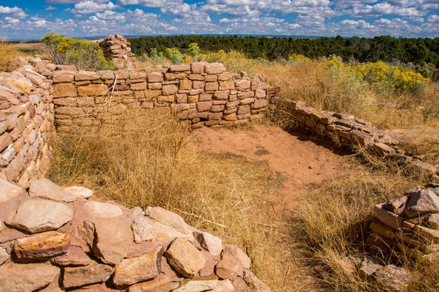 Canyons of the Ancients - Lowry Pueblo - Room with Distant Forest 