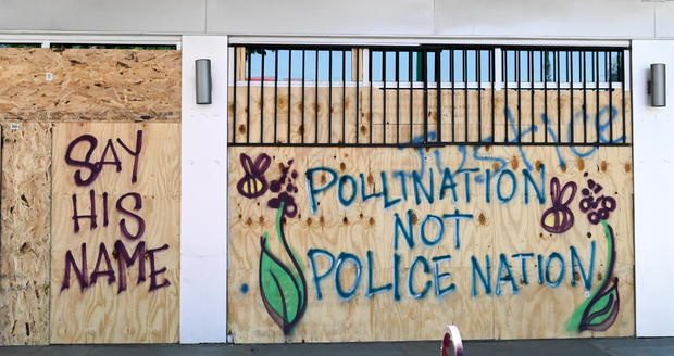 Polination_Not_Police_Nation.jpg 
