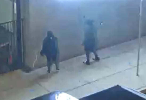 Fort Worth vandalism suspects 