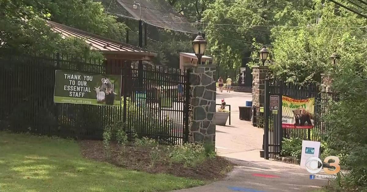 Brandywine Zoo Reopens With Limited Hours, Safety Measures CBS Philadelphia