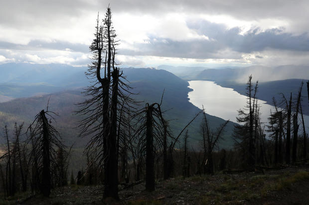 Montana Forests Struggle With Climate Change 