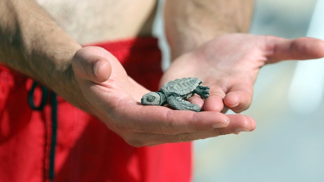 GettyImages-92525873.jpg 