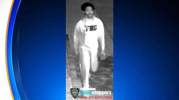 NYPS Searching For Man Connected To Bronx Church Vandalism 