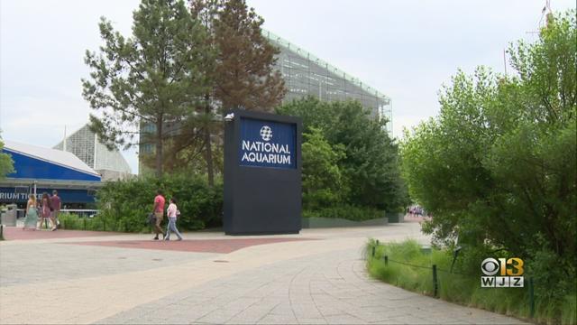 National-Aquarium.jpg 