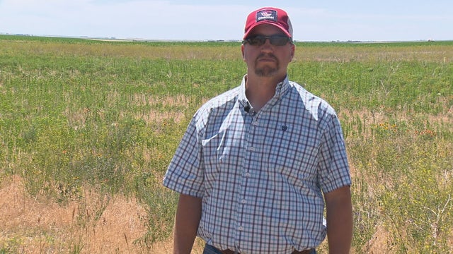 POLLINATOR WEEK 5PKG.transfer_frame_1239 