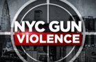 NYC-Gun-Violence-Wed.png 