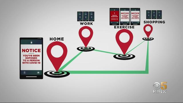 contact-tracing-app.jpg 