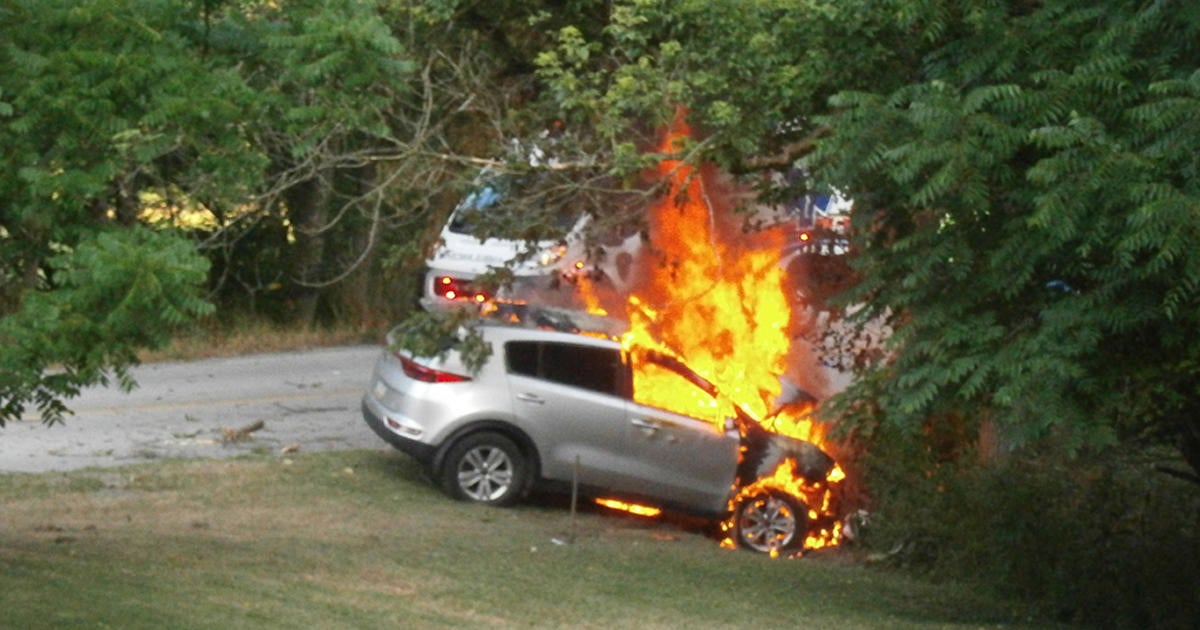 Vehicle Crashes Into Tree In Westmoreland County - CBS Pittsburgh