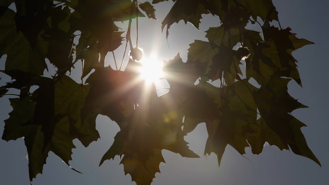 Sunlight.jpg 