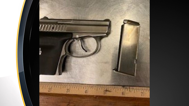 tsa-8th-airport-gun-2020.png 