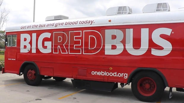 One Blood Big Red Bus 