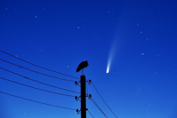comet neowise 
