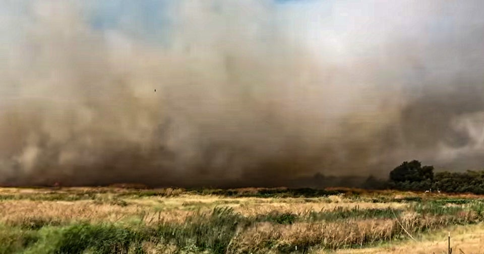 75Acre Holland Fire Near Knightsen 9095 Contained; Evacuation Order