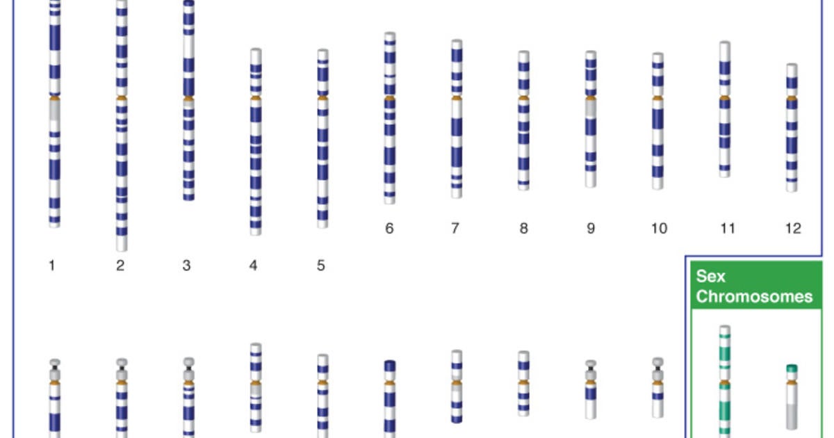 Massive GEDmatch Security Breach Exposes 1.2 Million Users' DNA ...